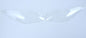 Headlight Shields for Kawasaki Ninja 300 & Versys 650 '15-21' (Pair)