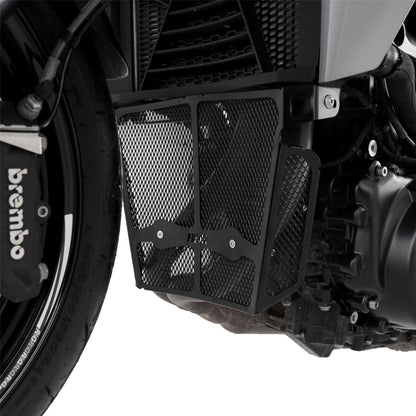 Downpipe Grille for the BMW F900 R '20- Colour: Dark Blue