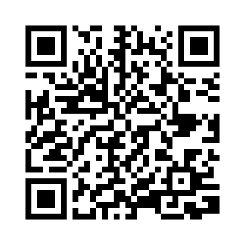 Radiator Guards for MV Agusta Brutale 675/800 ('12-'16)