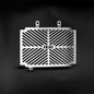 Branded Radiator Guard for Husqvarna Svartpilen 125 '21-