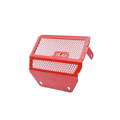 Front Cylinder Head Guard for the Ducati Monster 950 (+) '21- Colour: Titanium
