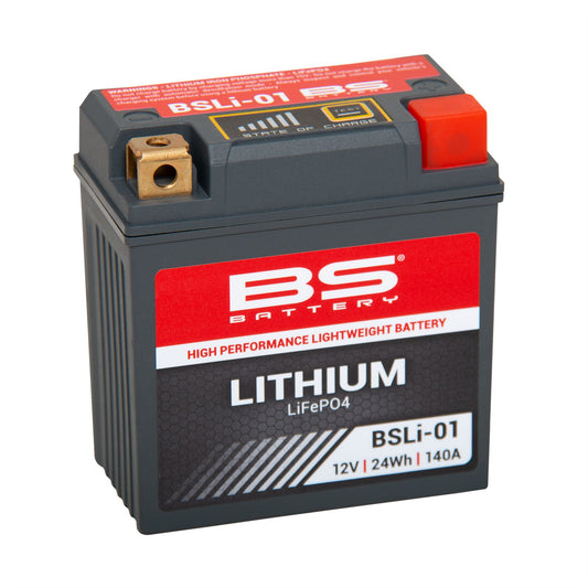 BS BSLI-01 Lithium Battery