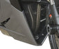 Downpipe Grille for Triumph Daytona 675 '13-'16