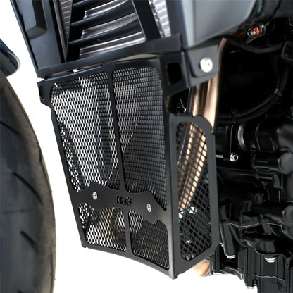 Downpipe Grille for the BMW F900 R '20- Colour: Black