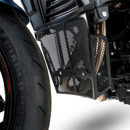 Downpipe Grille for the BMW F900 R '20- Colour: Titanium