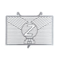 Branded Radiator Guard For Kawasaki Z900RS '18-'20