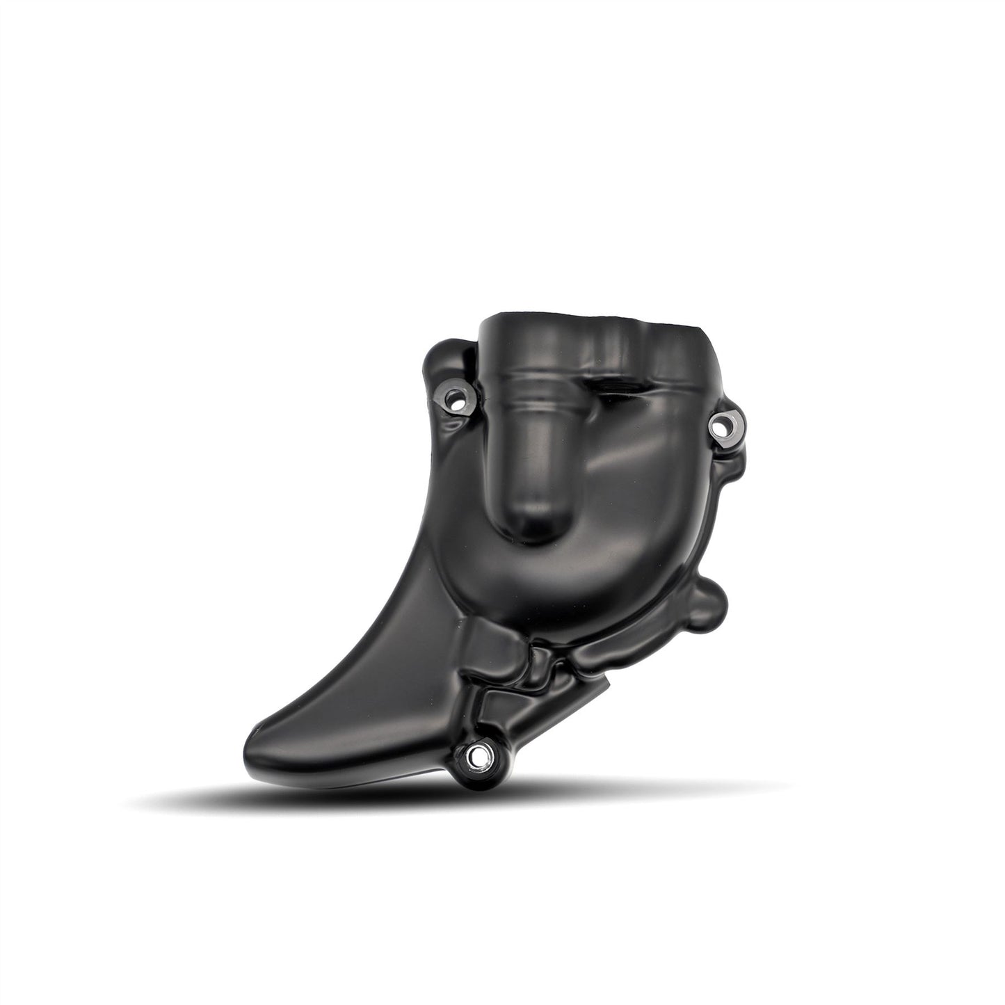 Engine Case Cover (RHS) Water Pump Cover