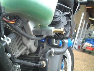 Crash Protectors - Classic Style for Suzuki TL1000R Colour: White