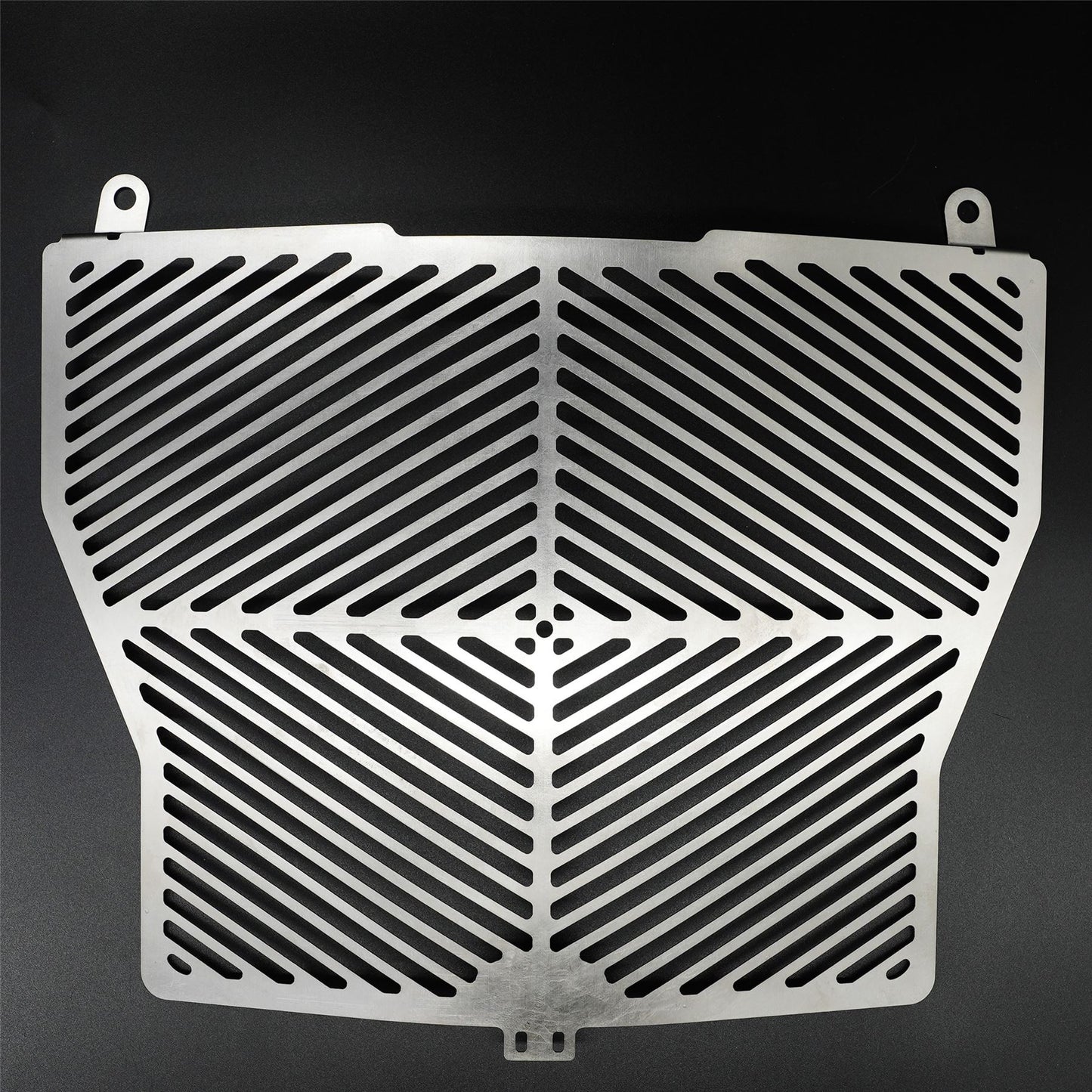 Stainless Steel Radiator Guard for the BMW S1000R '17-'20 models