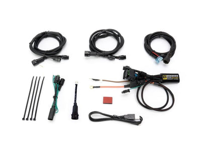 DENALI 2.0 CANsmart Plug-N-Play Controller For BMW F650, F700 & F800 Series