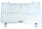 Stainless Steel Radiator Guard for KTM 990 Superduke